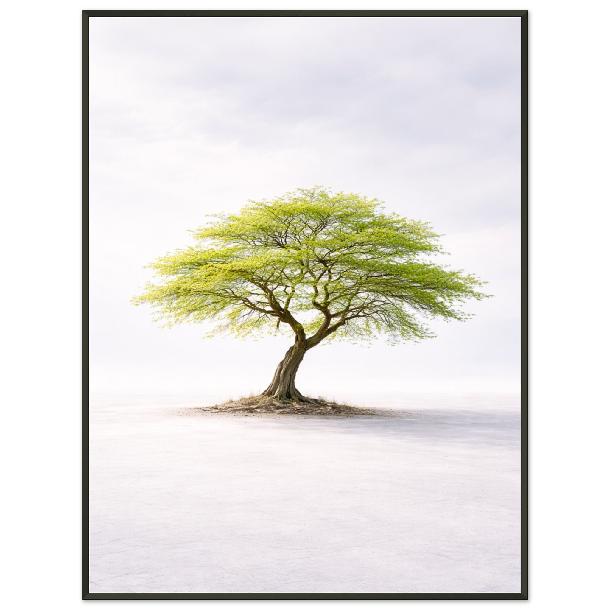 0aab9920-db43-443c-b60c-d2c73e81b703