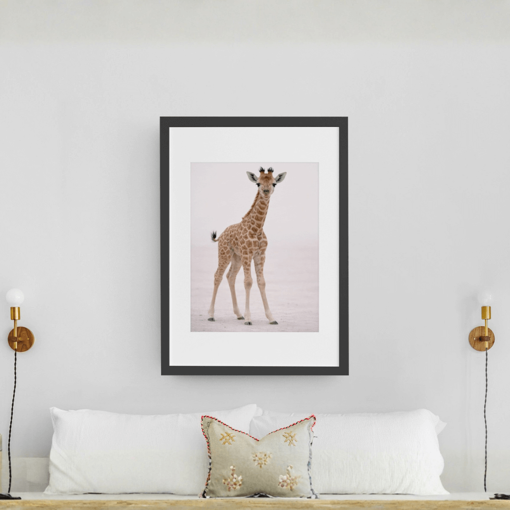 Giraffe Calf – Origins Collection