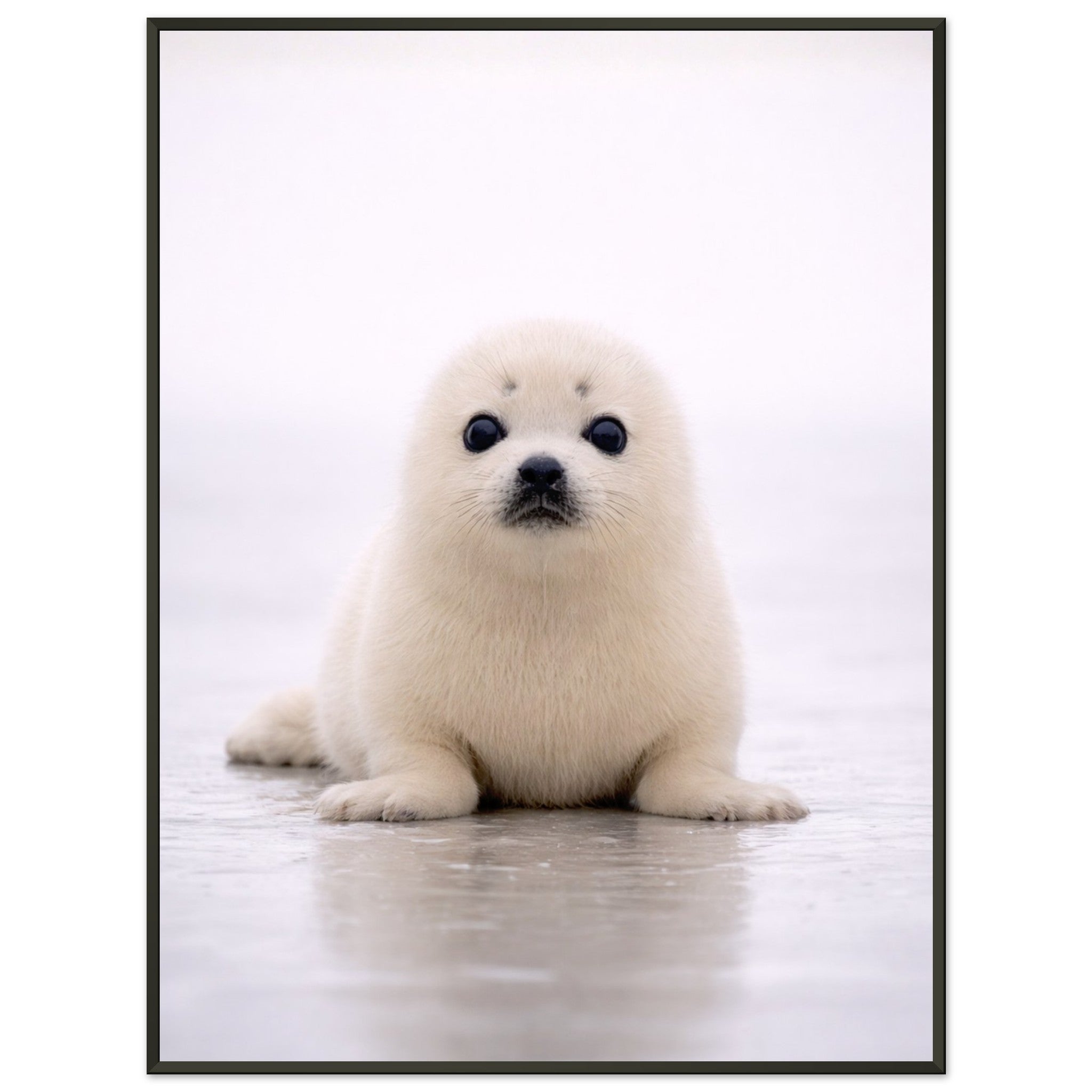 17ea9f18-731a-4955-91f2-d716bbb50c82