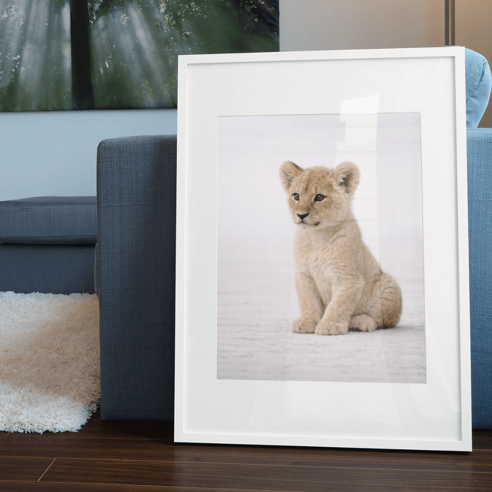 Lion Cub – Origins Collection