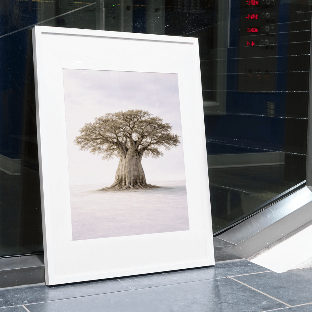Baobab – Mighty Trees Collection