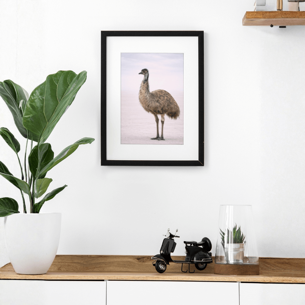 Emu – Still Wings Collection