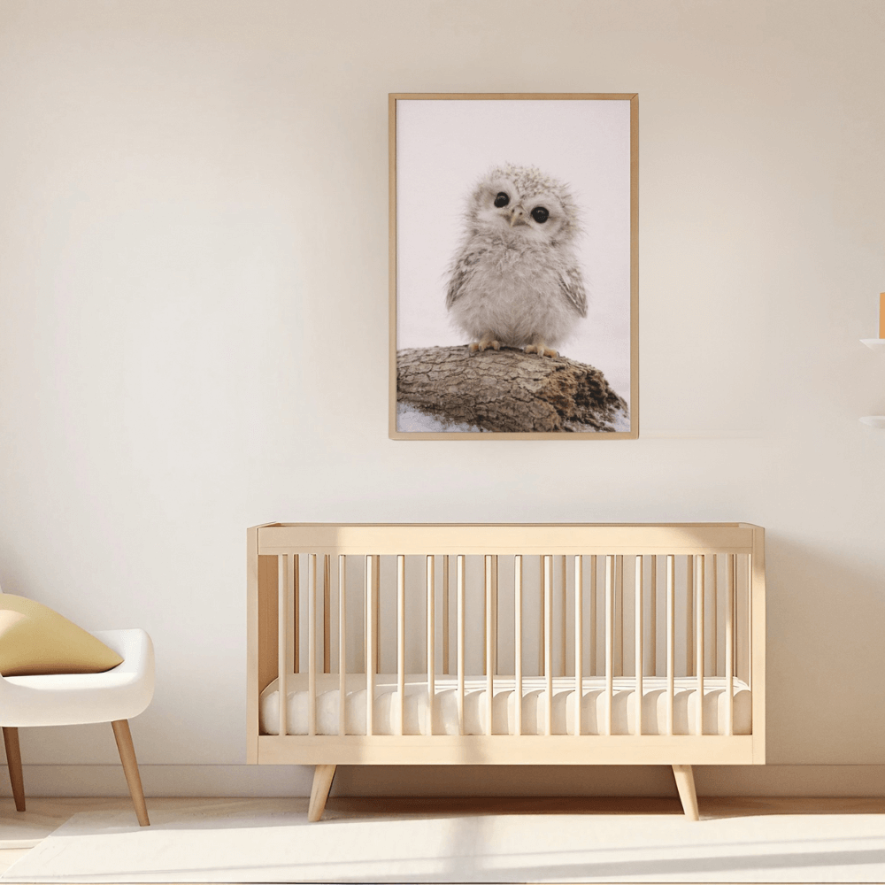 Snowy Owl Chick – Origins Collection
