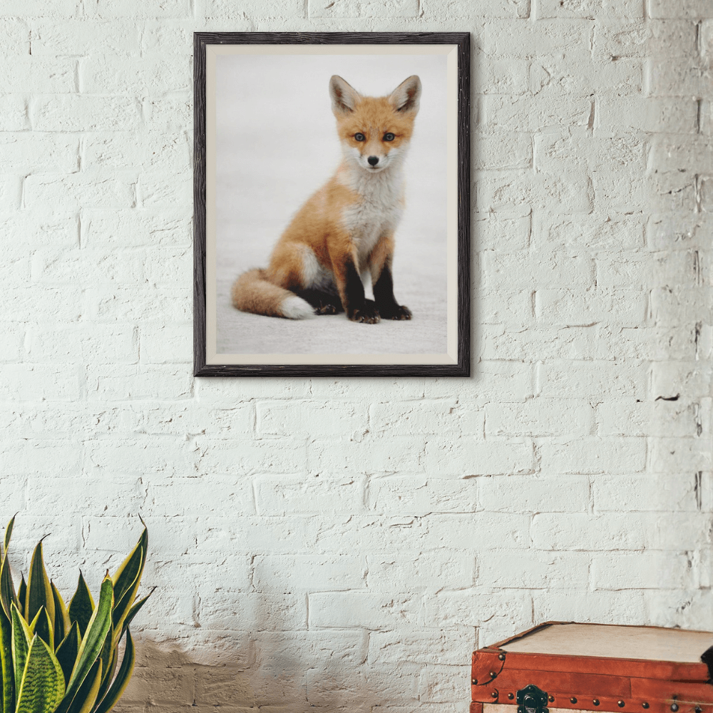 Red Fox Kit – Origins Collection