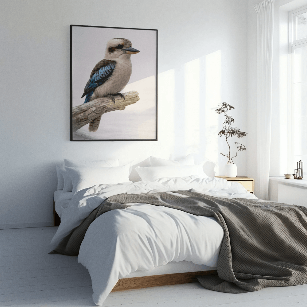 Kookaburra – Still Wings Collection