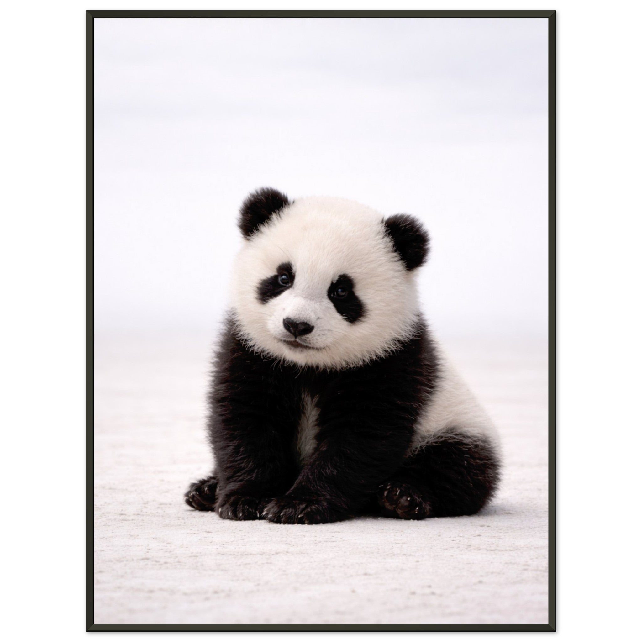 1c5108f4-8148-46ad-a8ca-454fc74e3254