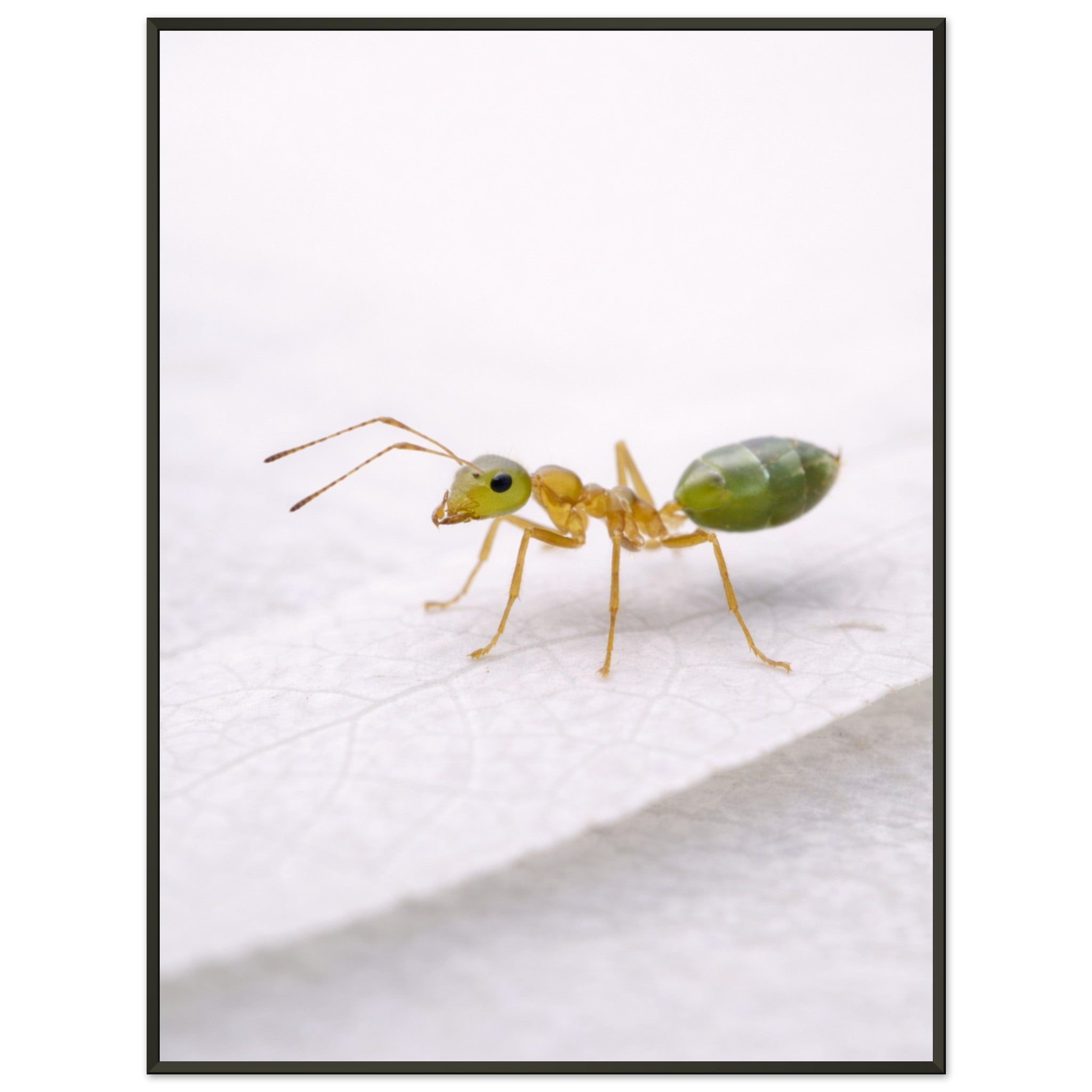 1e6be238-ab16-49e6-bb53-a0f9c3492683