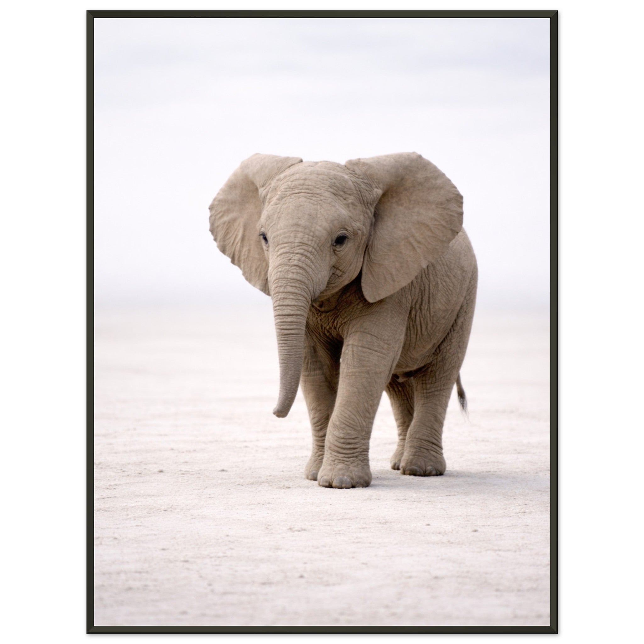 1e9c86c1-228c-4a03-af0f-298935b6e43b