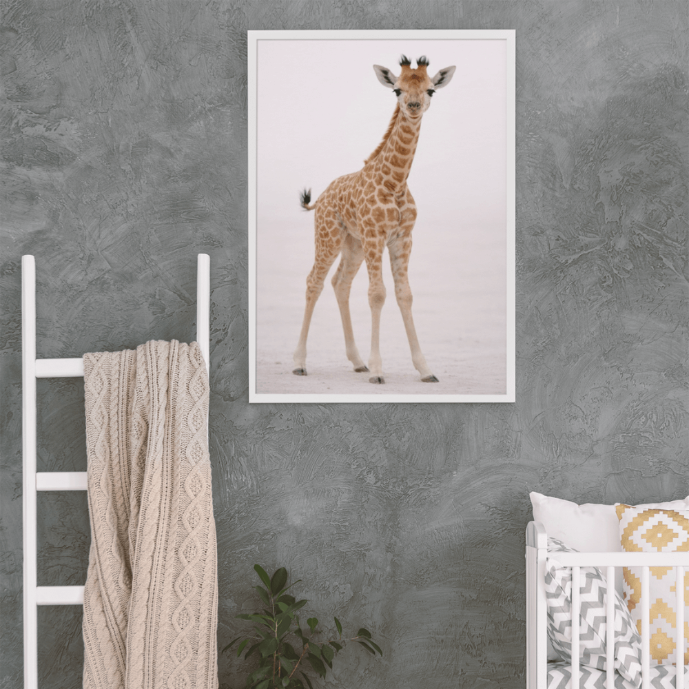 Giraffe Calf – Origins Collection