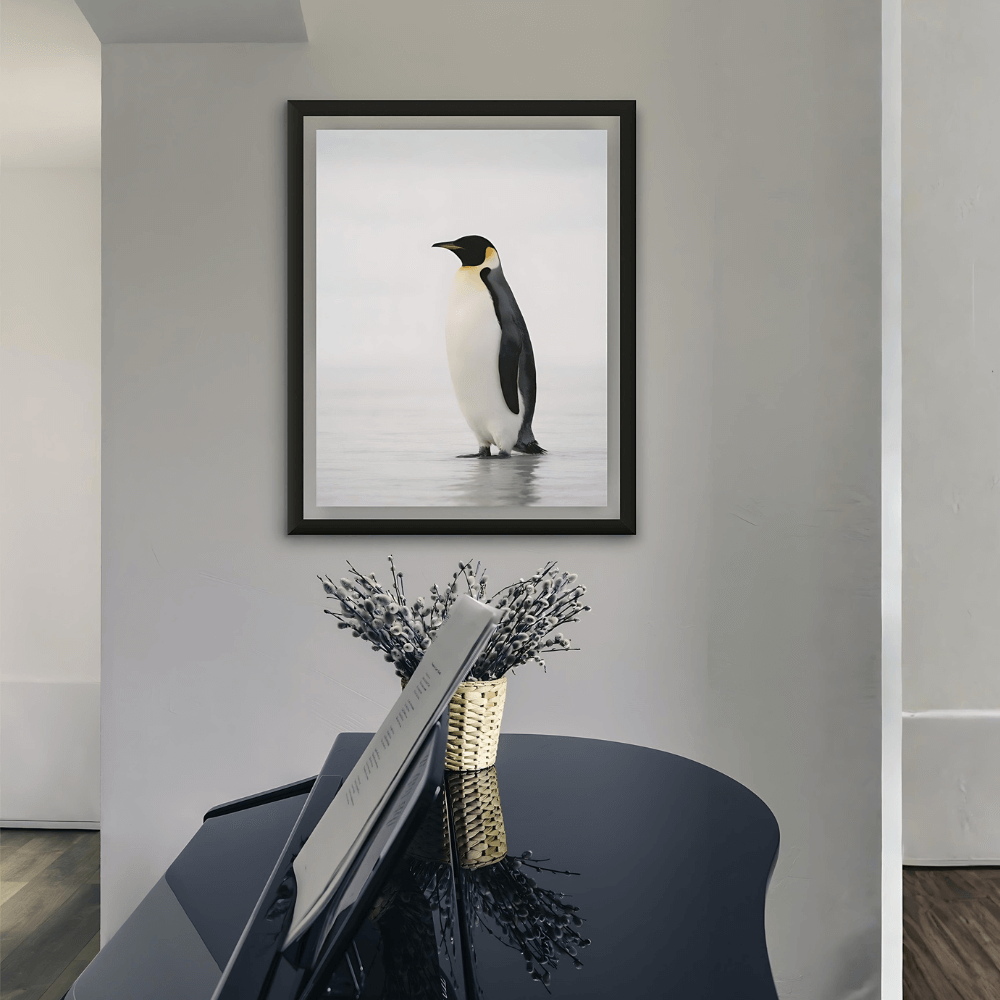 Emperor Penguin – Still Wings Collection