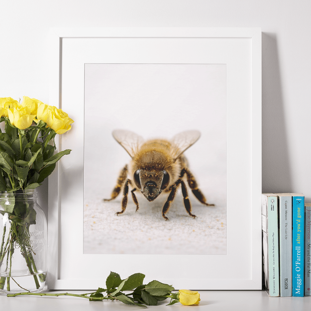 Honey Bee – Intimate Studies Collection