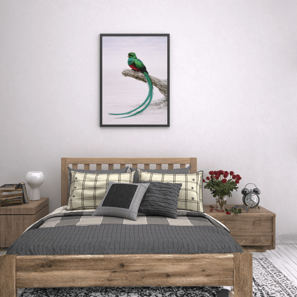 Resplendent Quetzal – Still Wings Collection