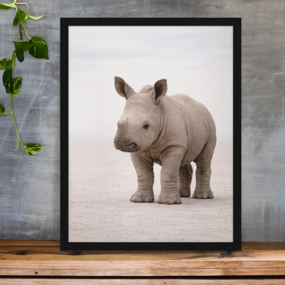 Rhino Calf – Origins Collection