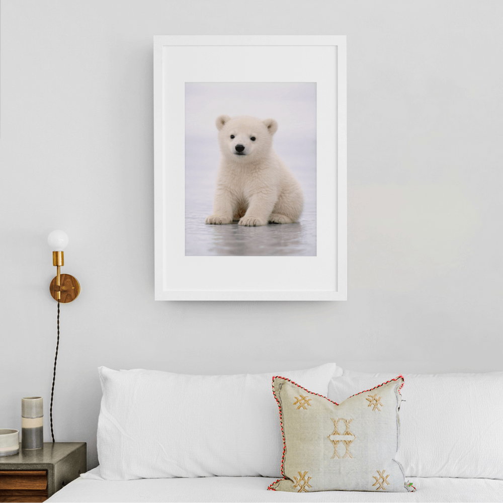 Polar Bear Cub – Origins Collection