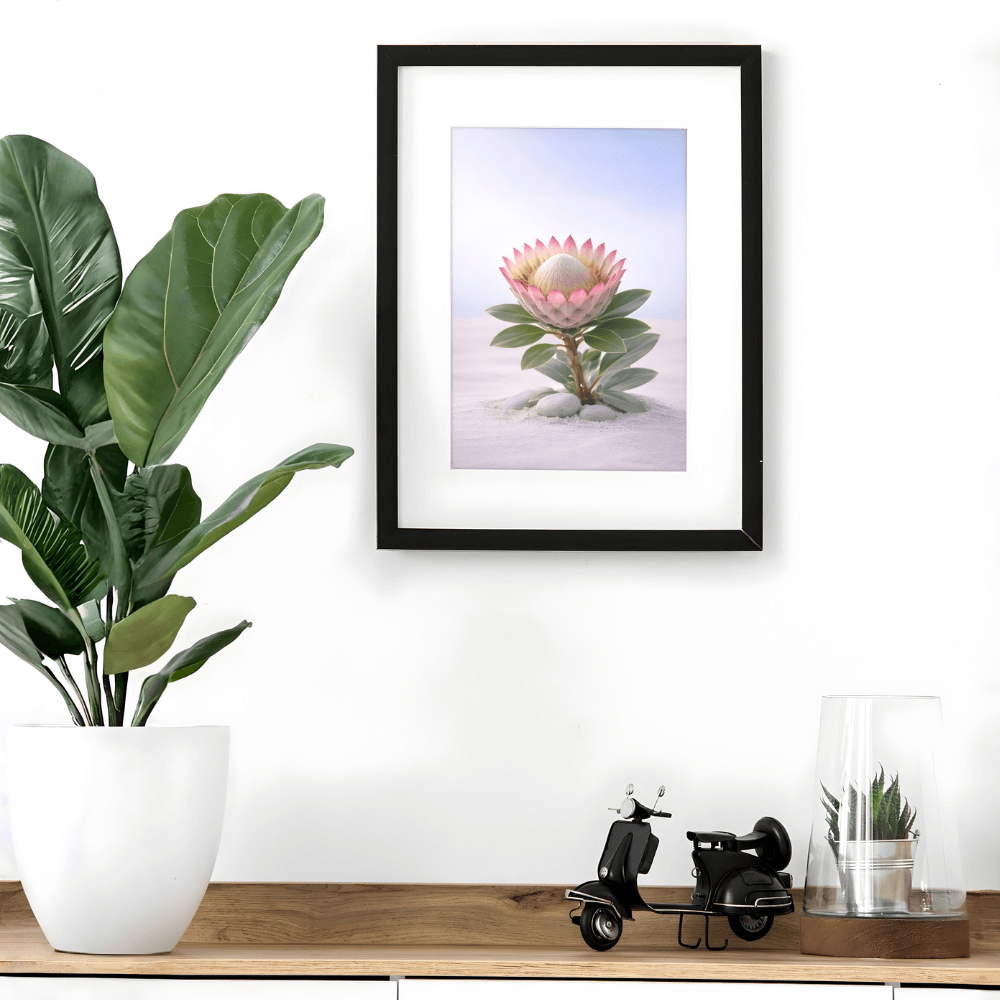 King Protea – Still Flora Collection