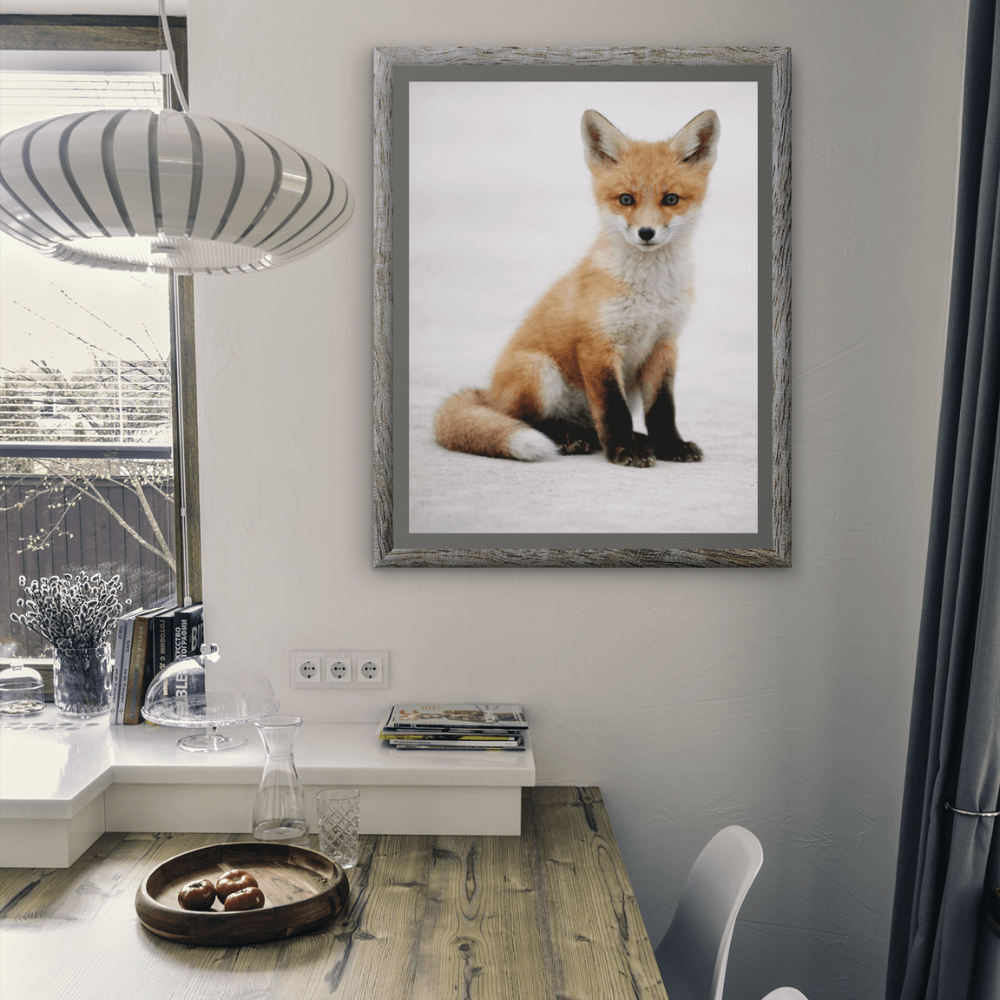 Red Fox Kit – Origins Collection