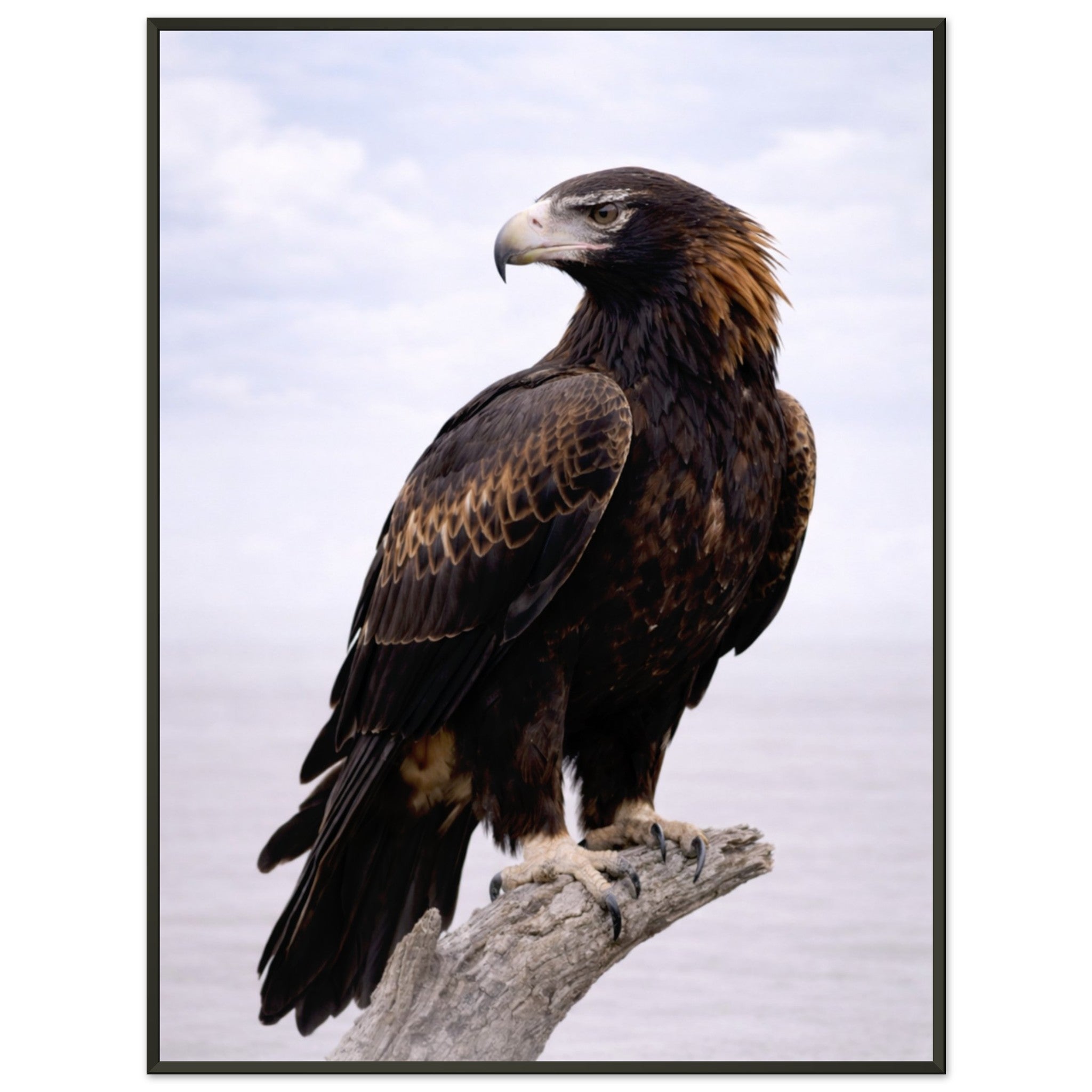 31432605-d31b-400a-beb4-870694d8be16