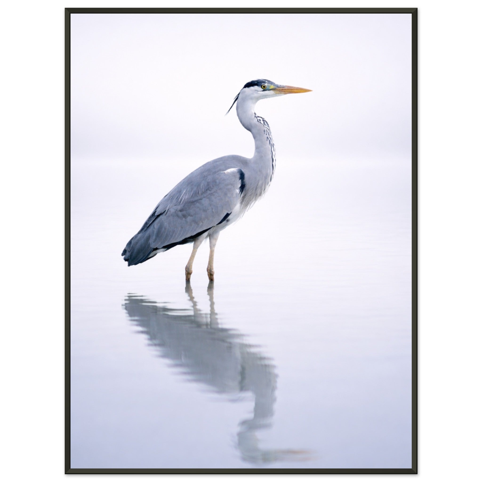 320c41da-2270-42af-a2a8-e5e35bed8450