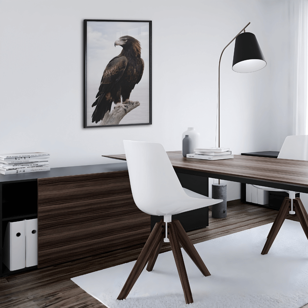 Wedge-tailed Eagle – Still Wings Collection