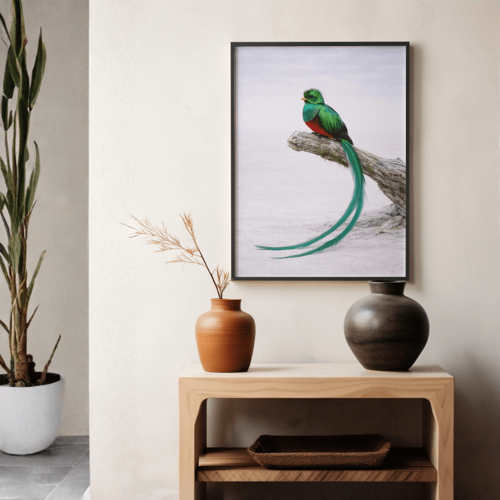Resplendent Quetzal – Still Wings Collection