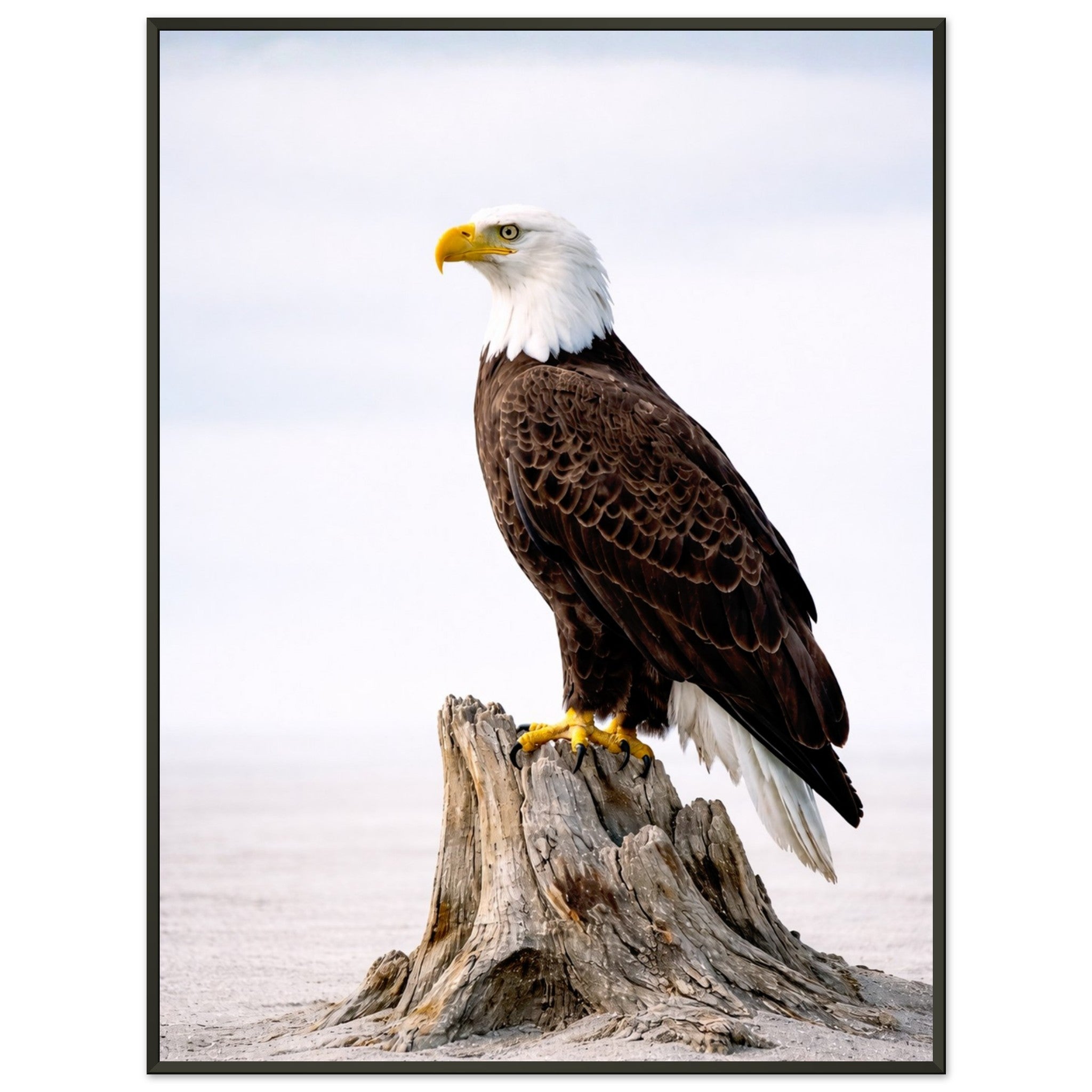 3e4b84ae-c229-43d9-91db-8354293456ef