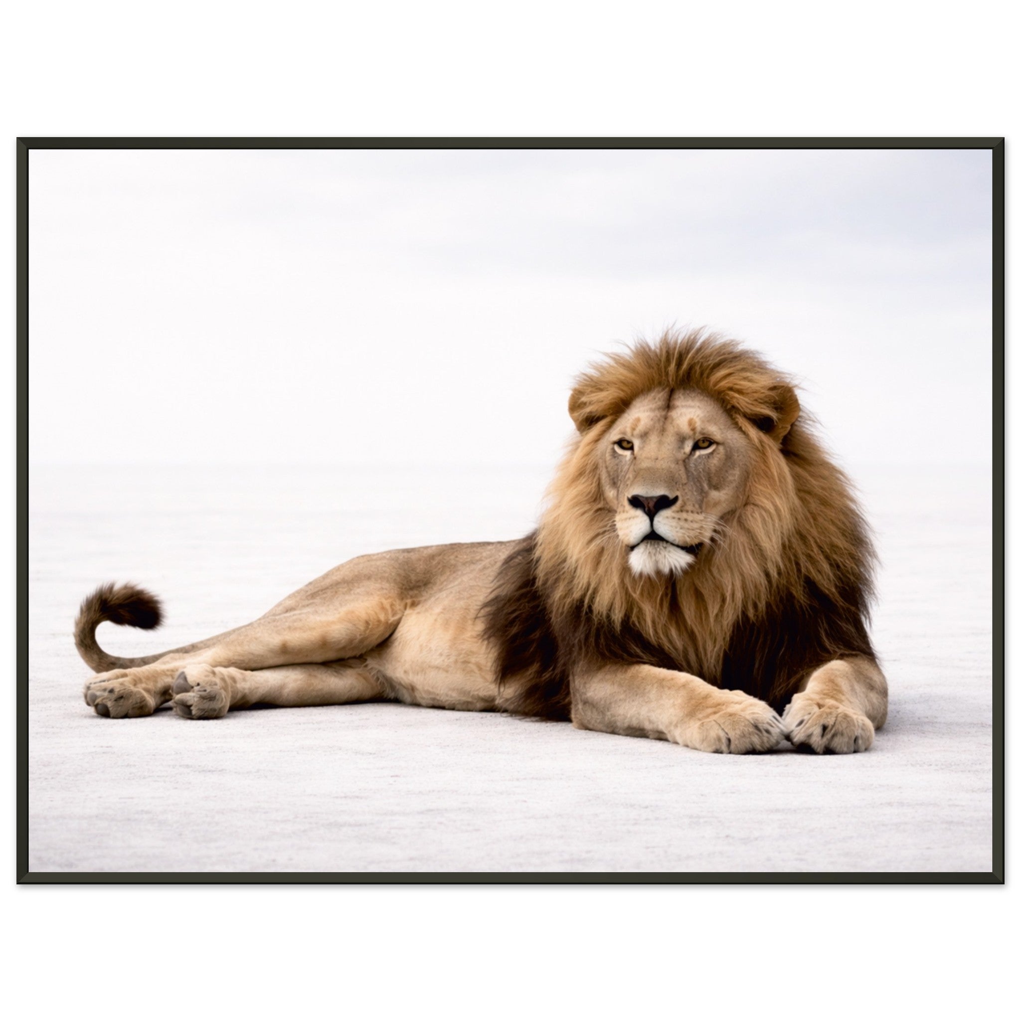 3ec21ca6-f8a2-490c-b2c5-a2d8c9ba3b57