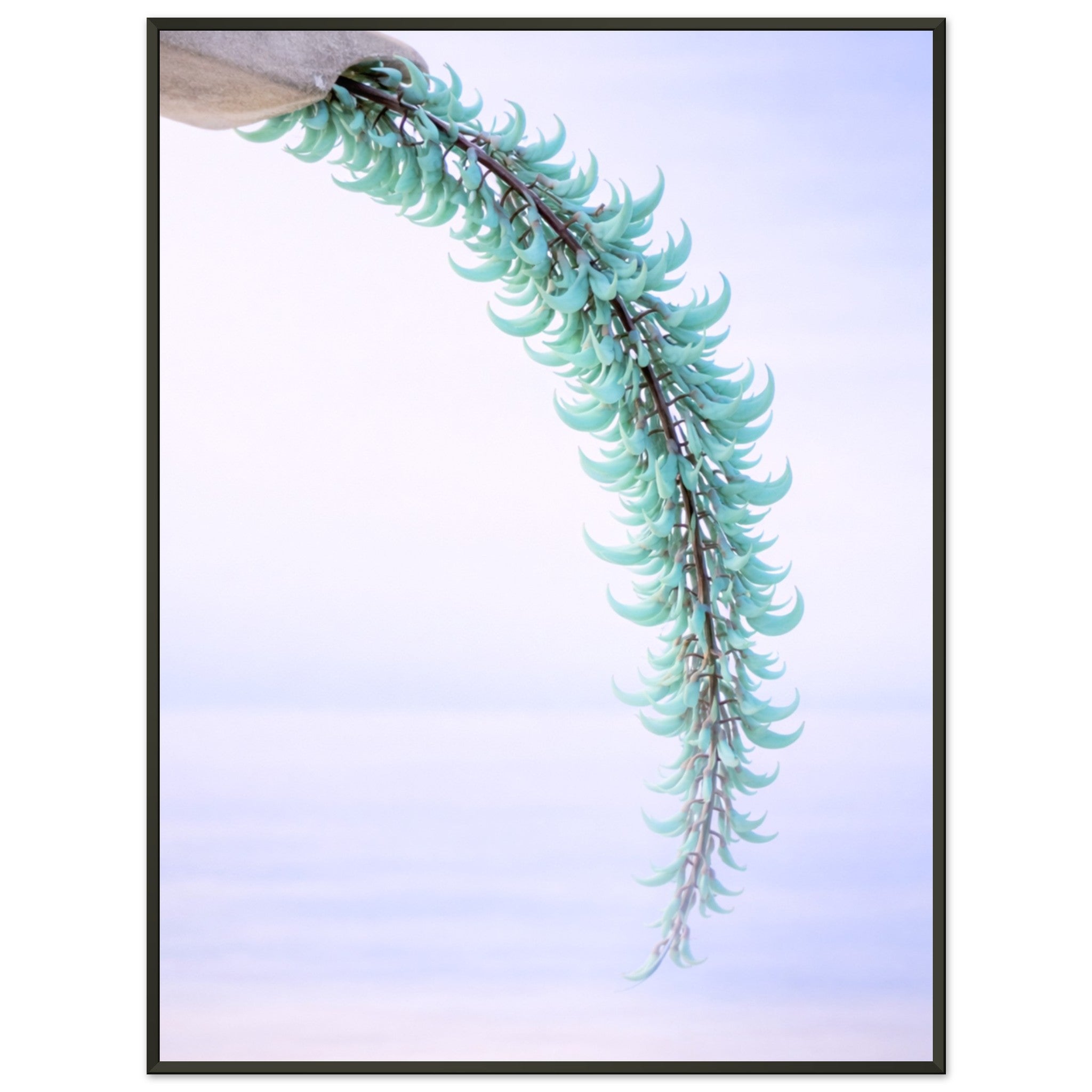 4e4416d5-4fd6-4806-9fab-0a425ee77a88