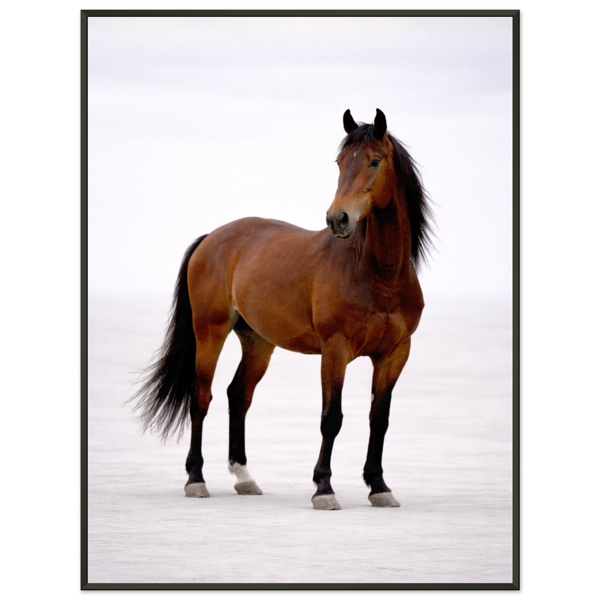 55fcc18a-51b4-43e3-8d1b-4ea18dab41c2