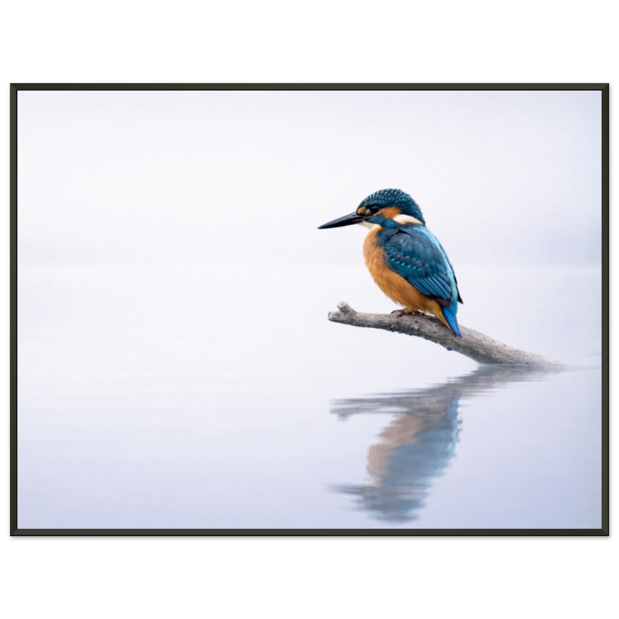 57128e6b-34d2-46c1-aaed-9e6ca0899085