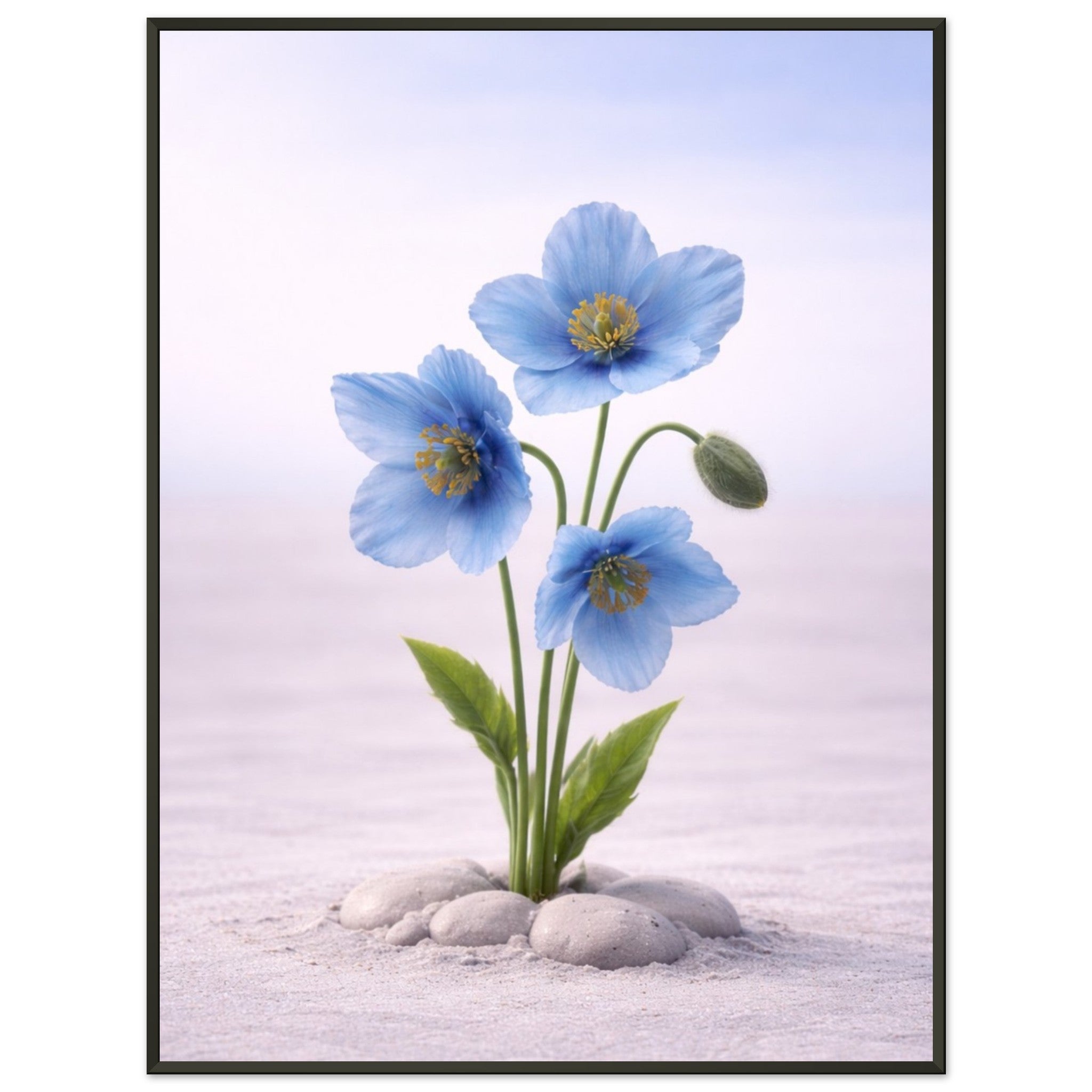 571d9c55-79dc-49fb-bf4a-7cf4481b2846