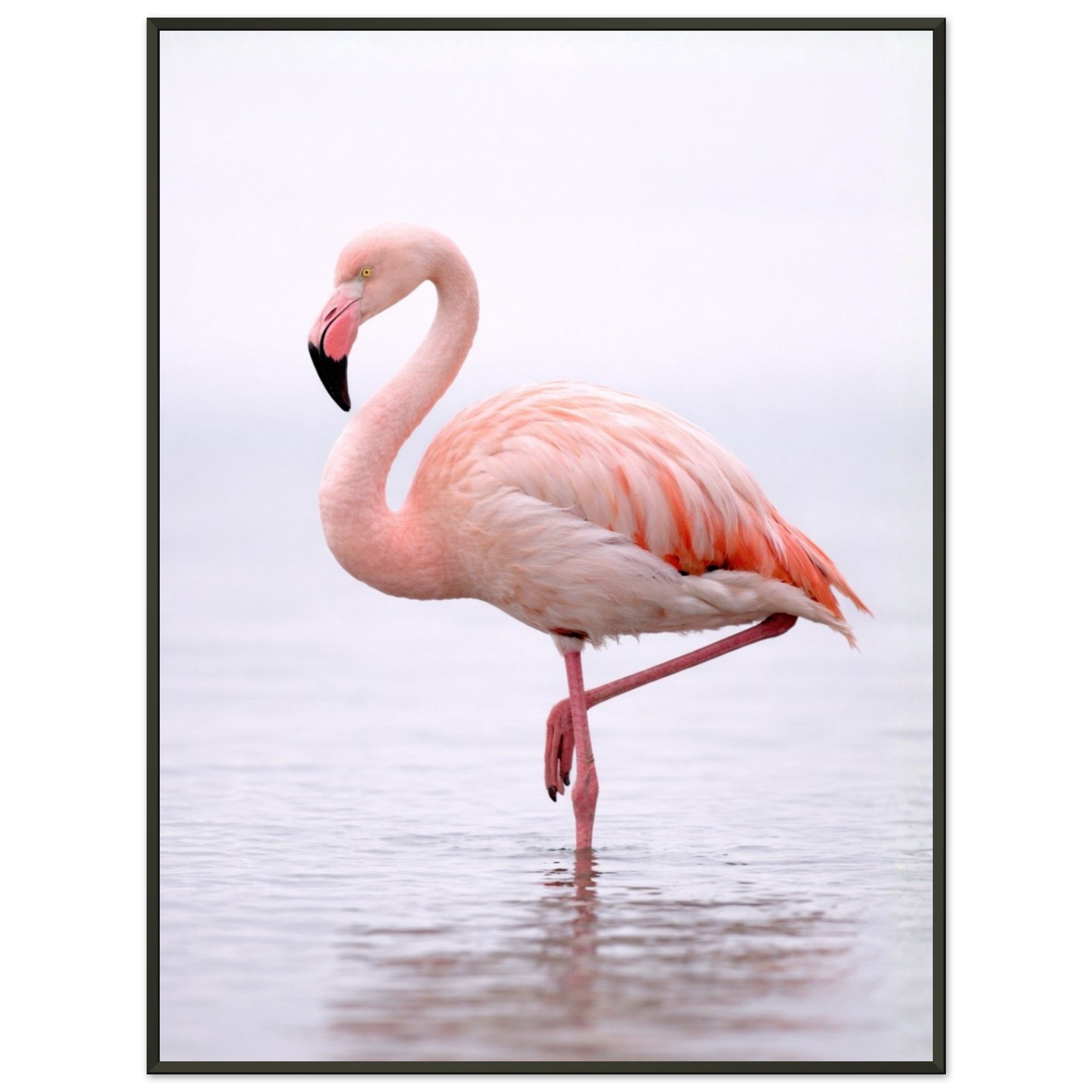 62fa68c6-a636-4206-b0b4-4b3ced48852d