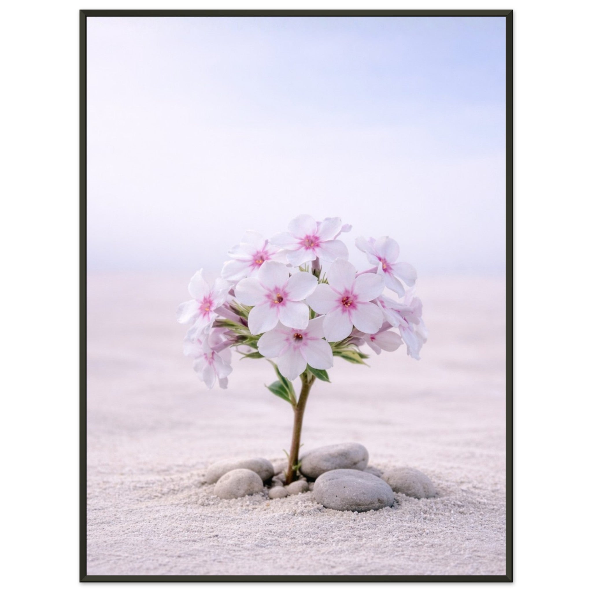 6887f78b-a641-4bac-850e-6ea28b63e576