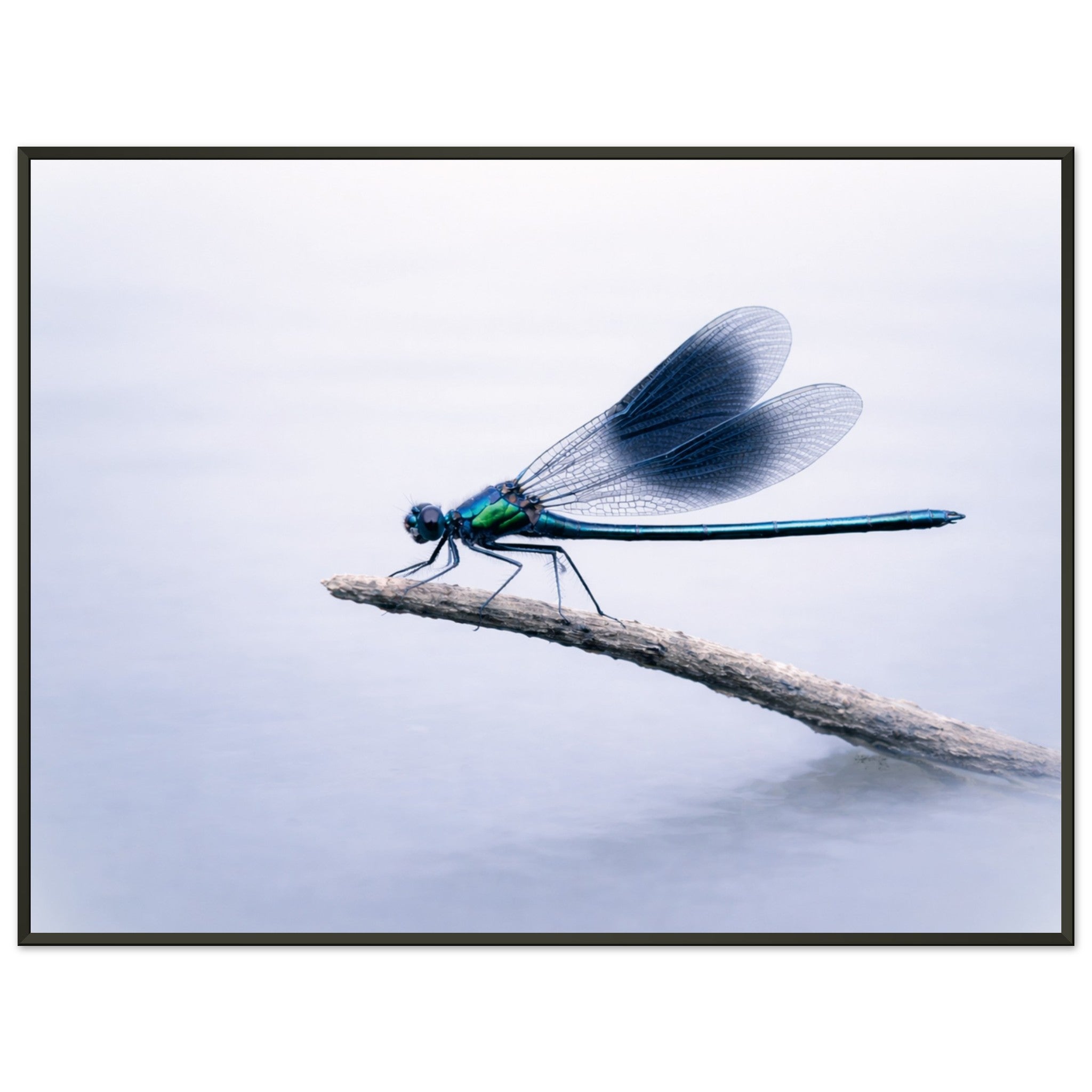 691dcc6e-f78a-4ef0-80f9-b49a18266304