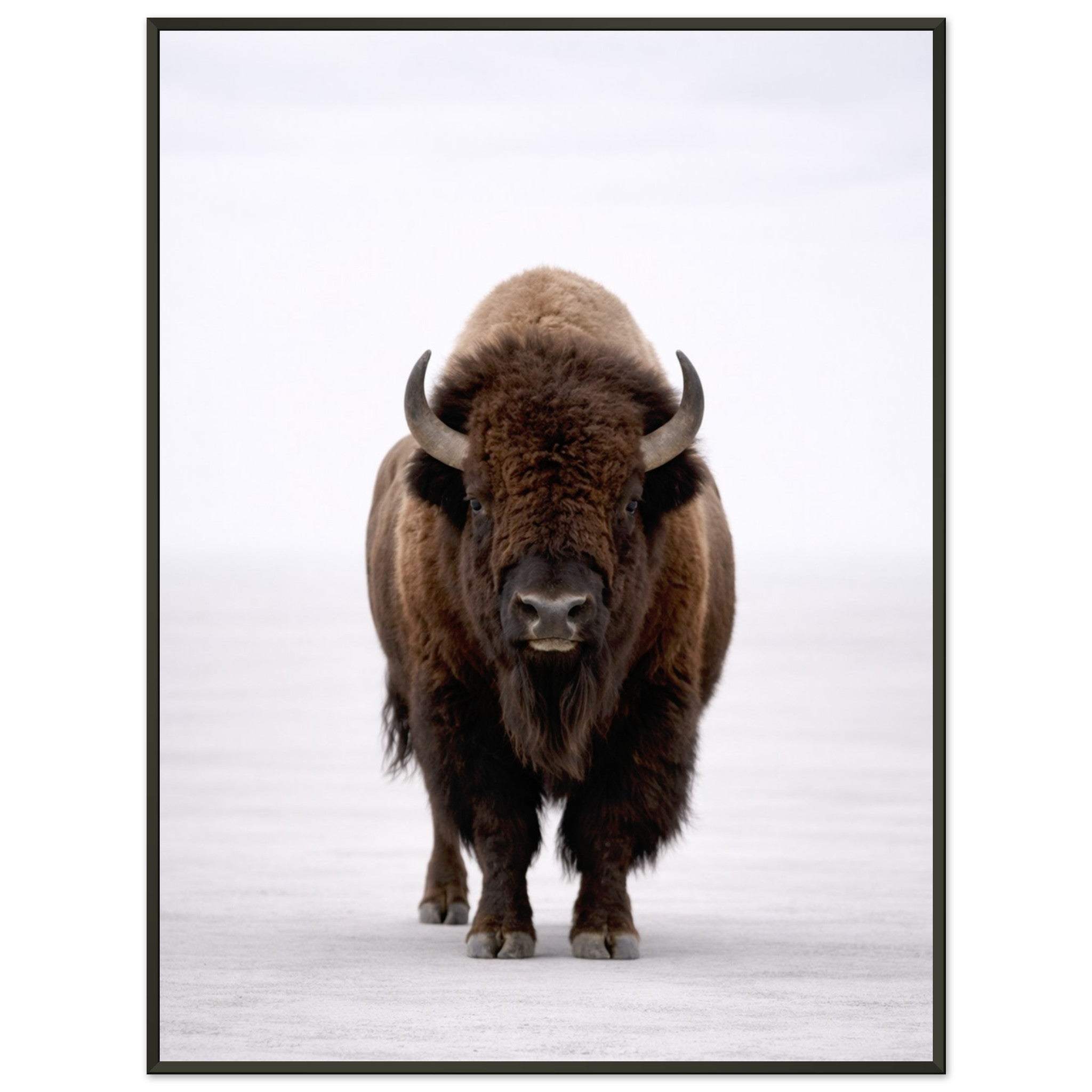 70d11dc4-a9dc-44ea-a43a-af565f129a3d