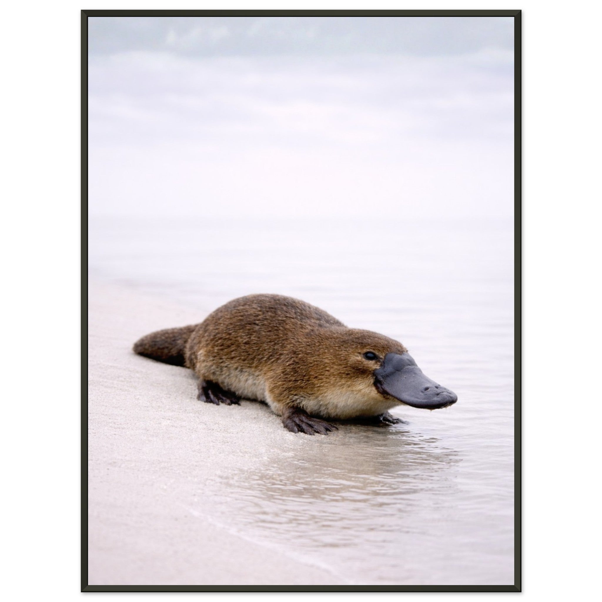 7e5ddc3e-88f8-40f8-ad15-fc3c0d000310