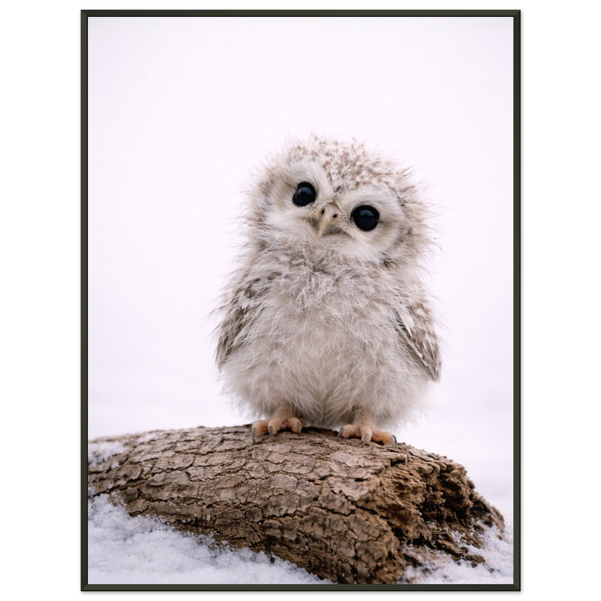 85adc666-9f16-4861-8808-adf5fe201aaf