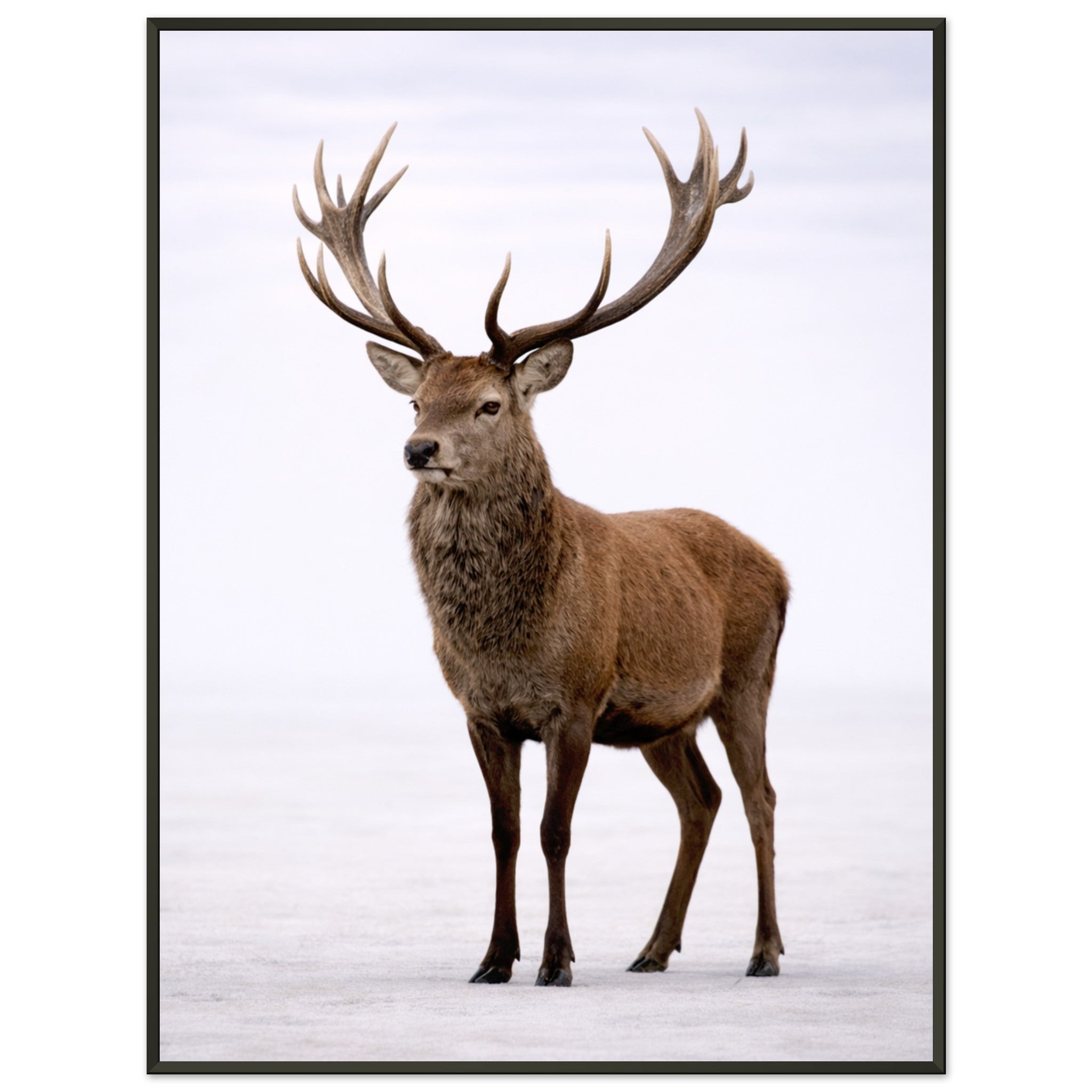 9024e1ab-c9d2-44b4-ab57-fc745ac443ae