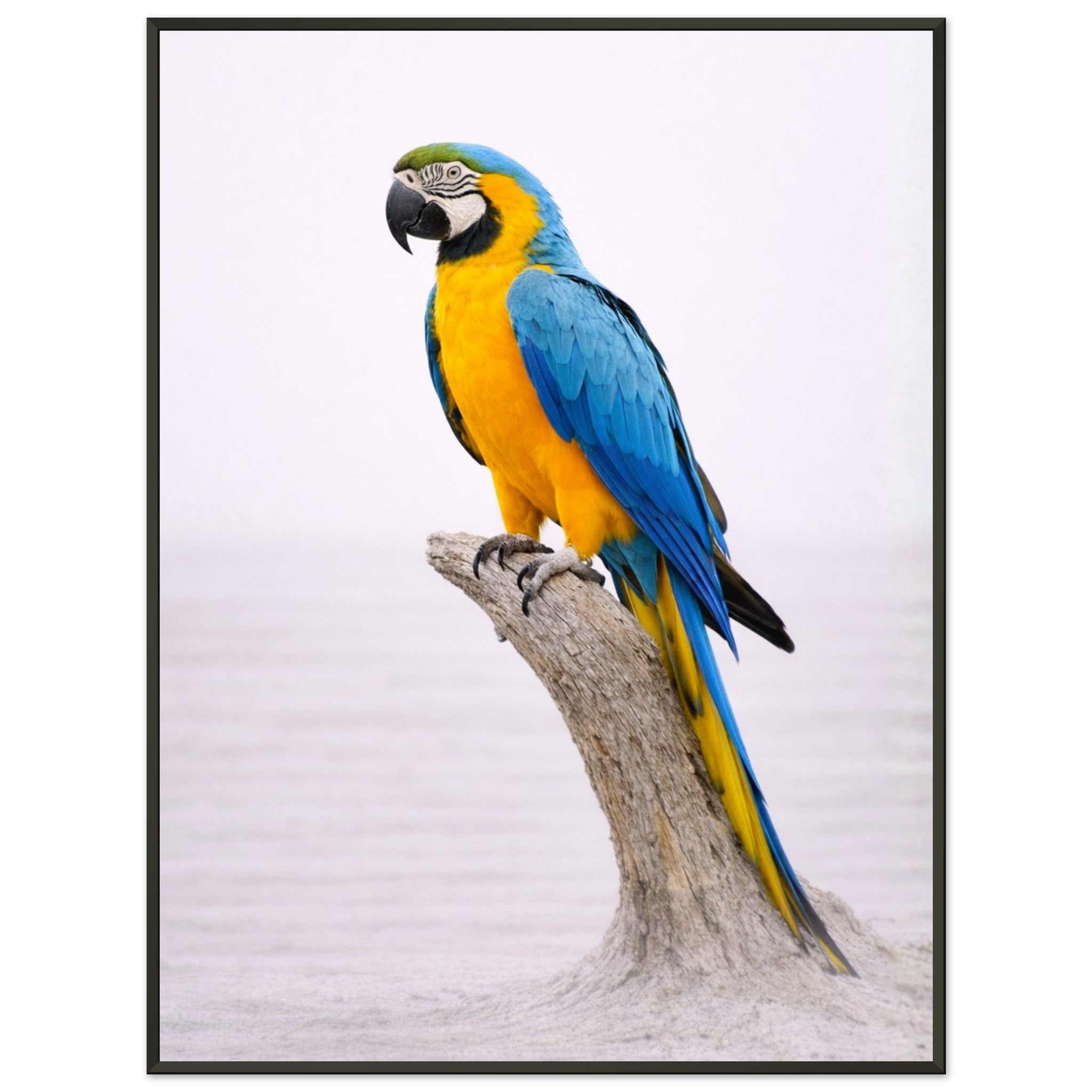 97b44545-5346-4b90-8ab4-8a410433a073