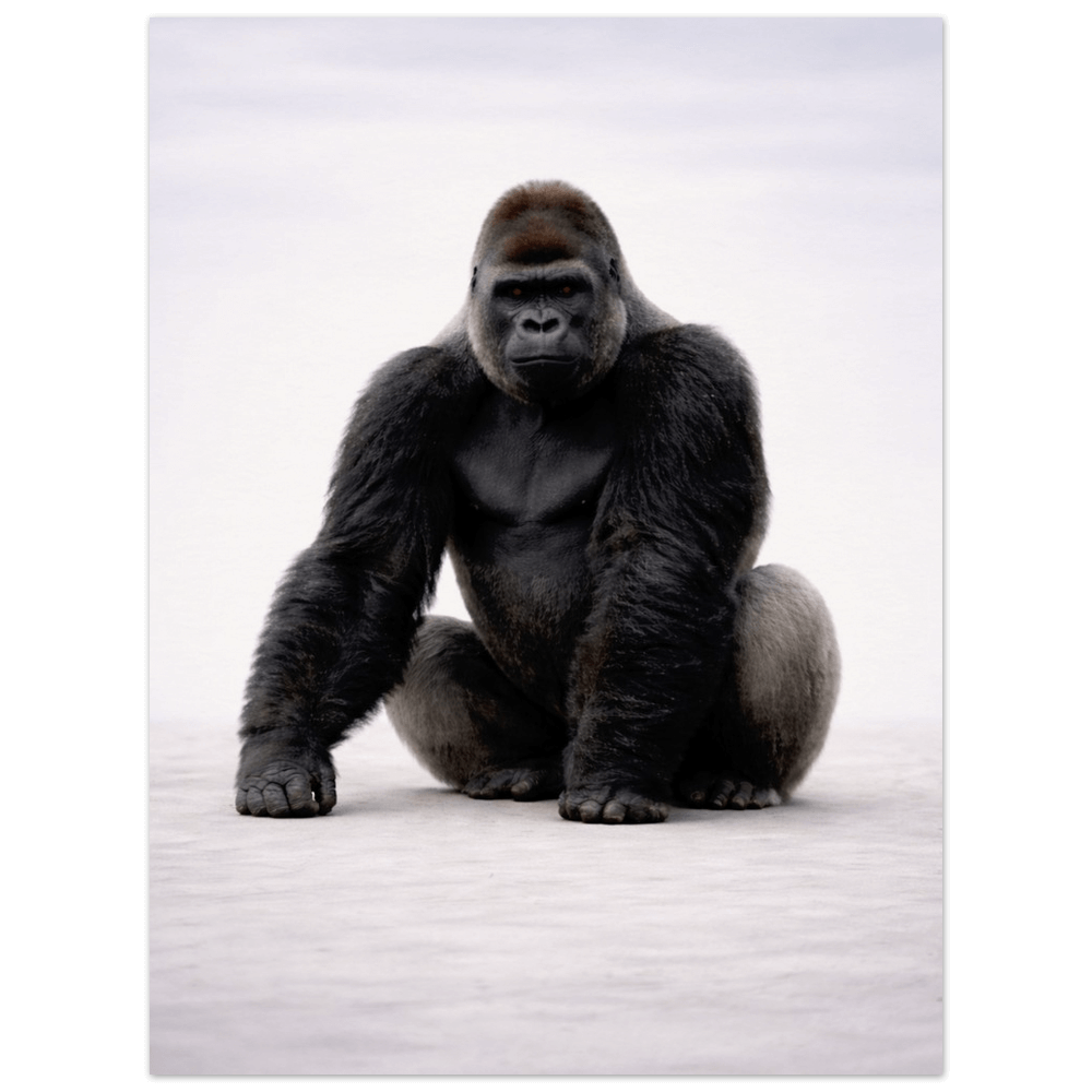 Silverback Gorilla – Elders Collection