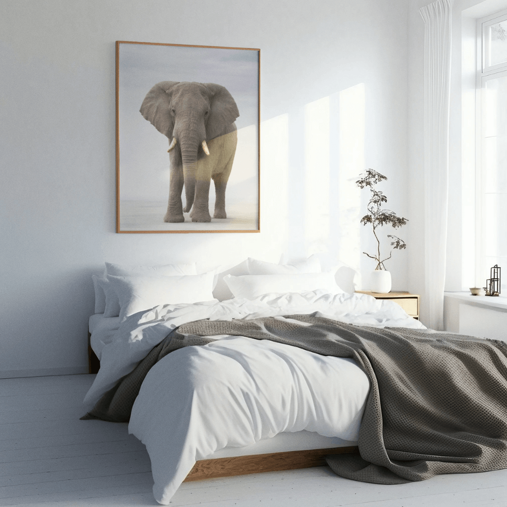 African Elephant — Elders Collection