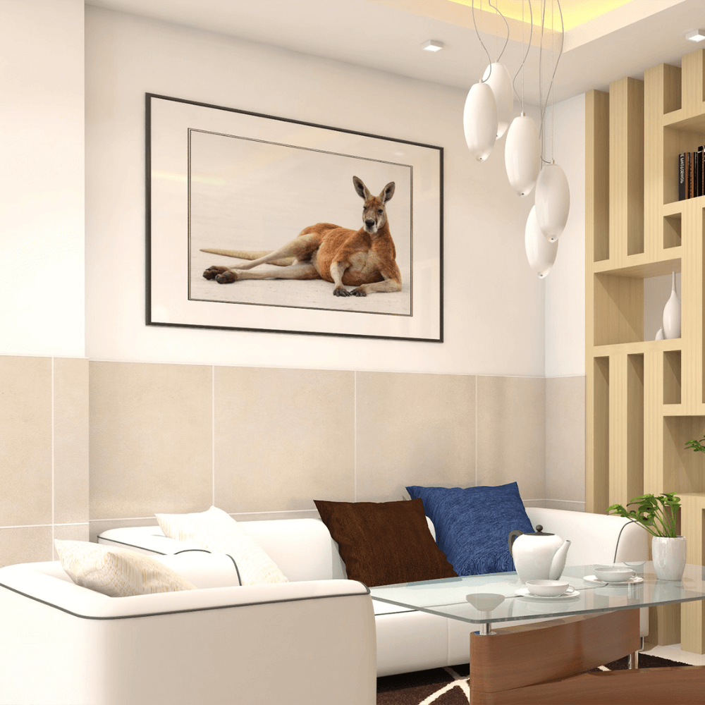 Big Red Kangaroo – Elders Collection