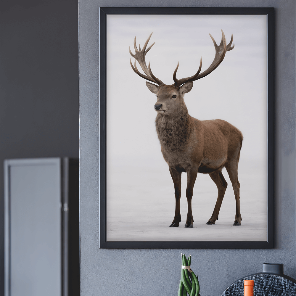Red Deer Stag – Elders Collection