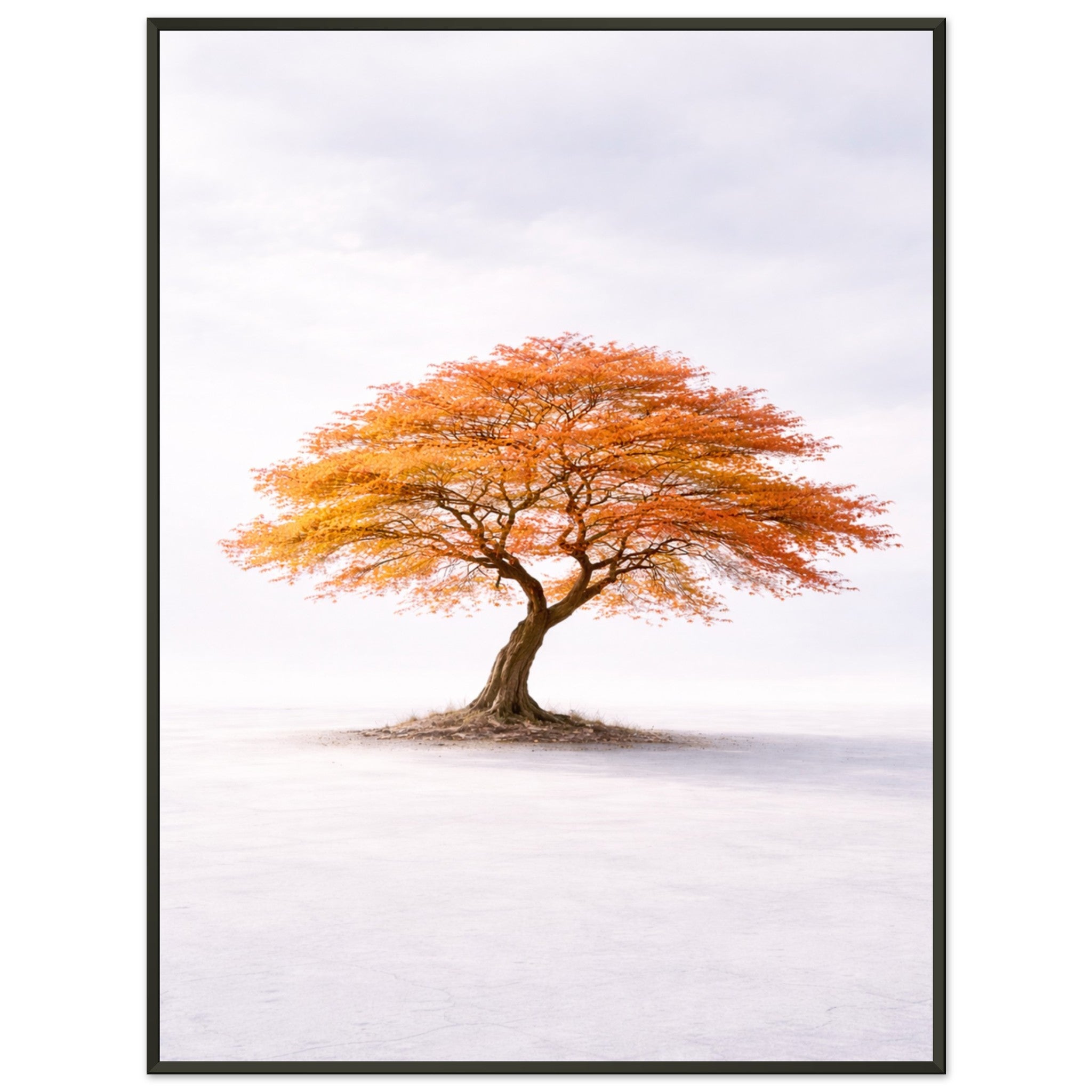 ae30f16f-8fcb-4f09-bac5-5a6d7d00f774