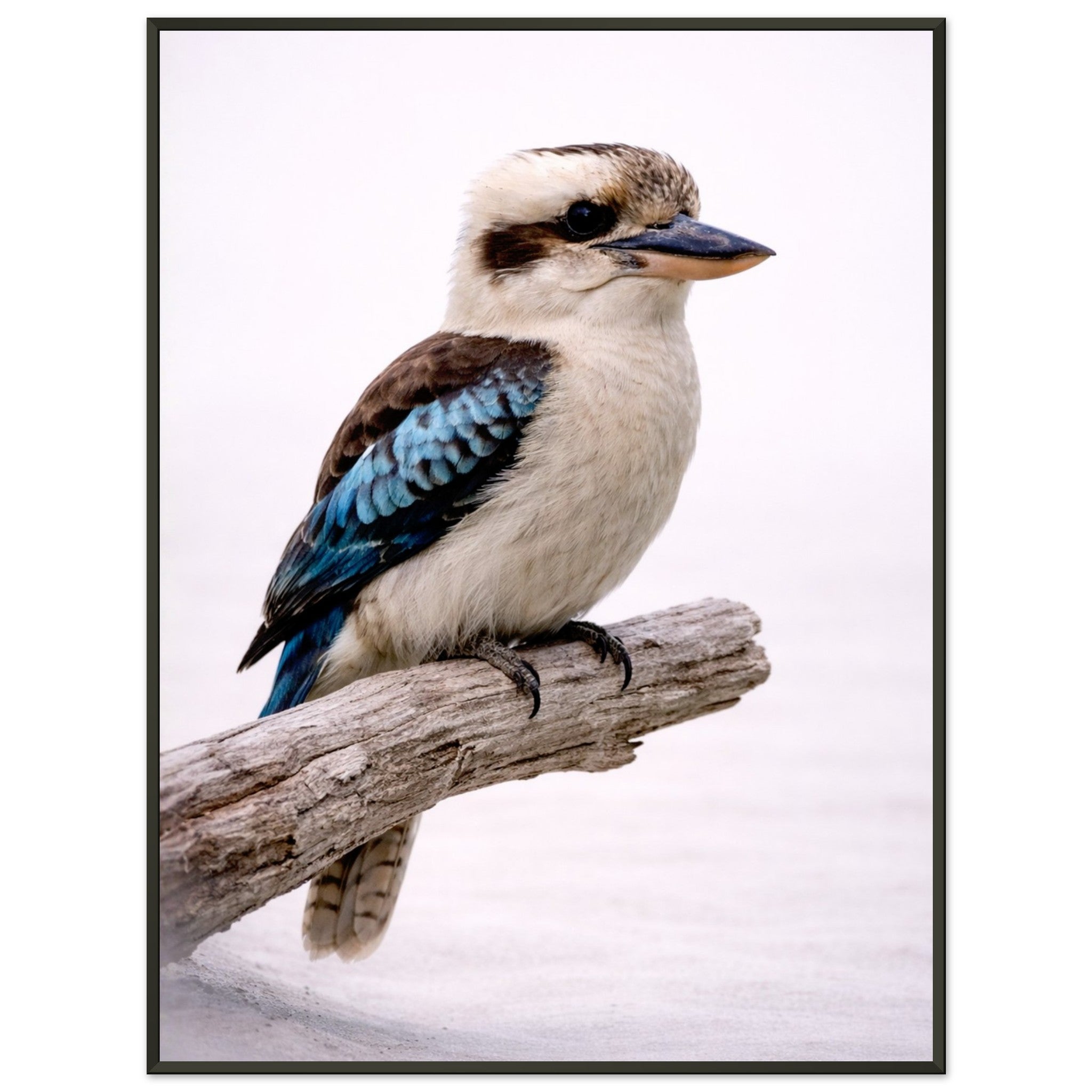 b770cd9f-bb4e-4c74-ad64-9739f49b47e0