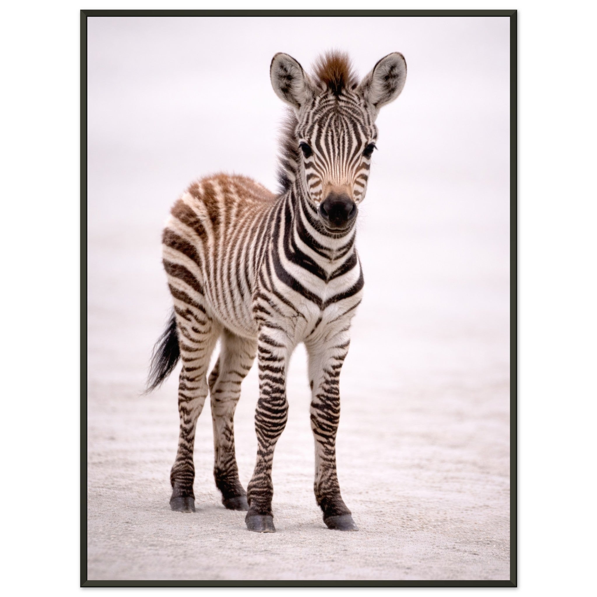 b77a001d-c08e-4c48-8bf3-cd0a8eed4413