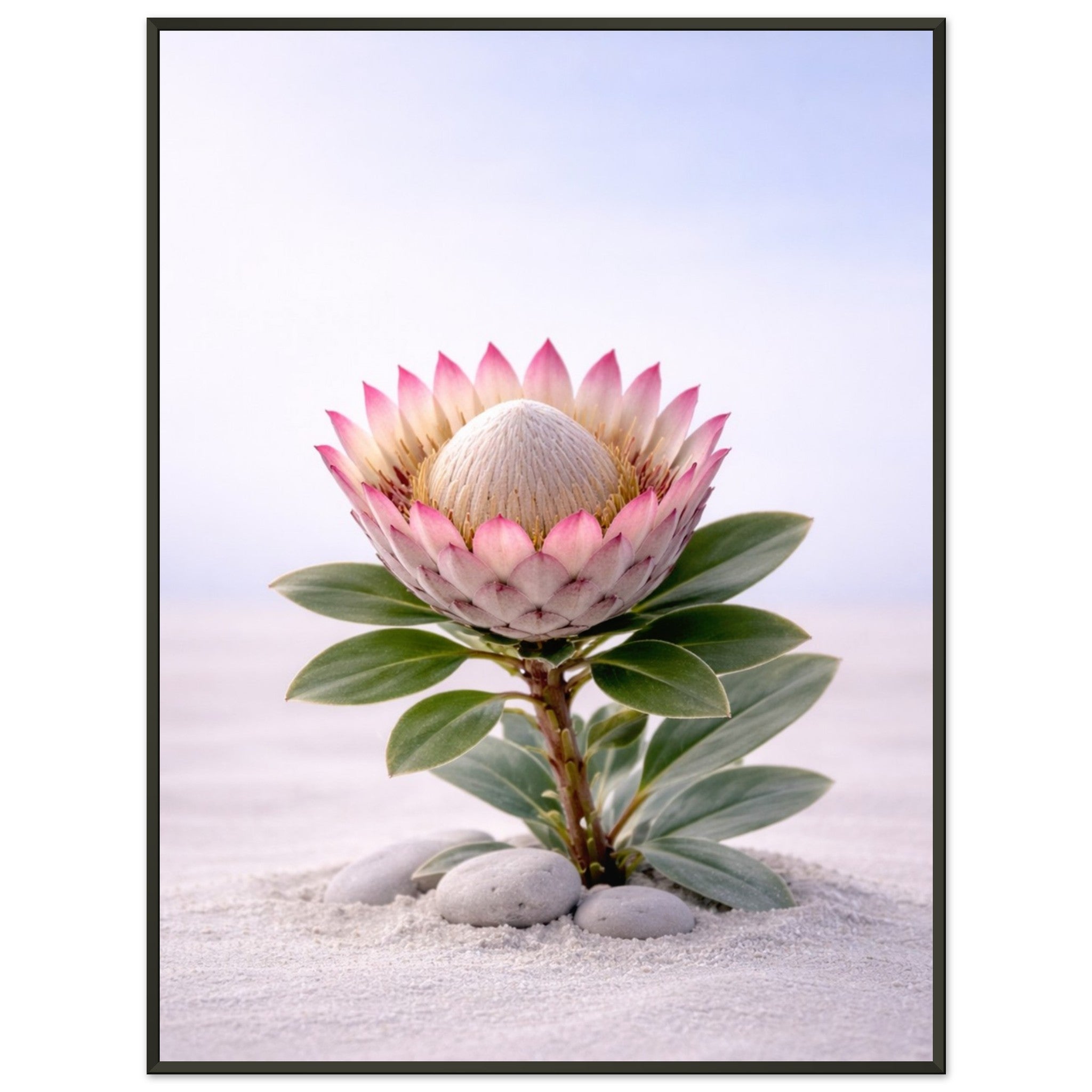 bf6c7ebe-4ae1-4ca4-8825-f2bbf93e481c