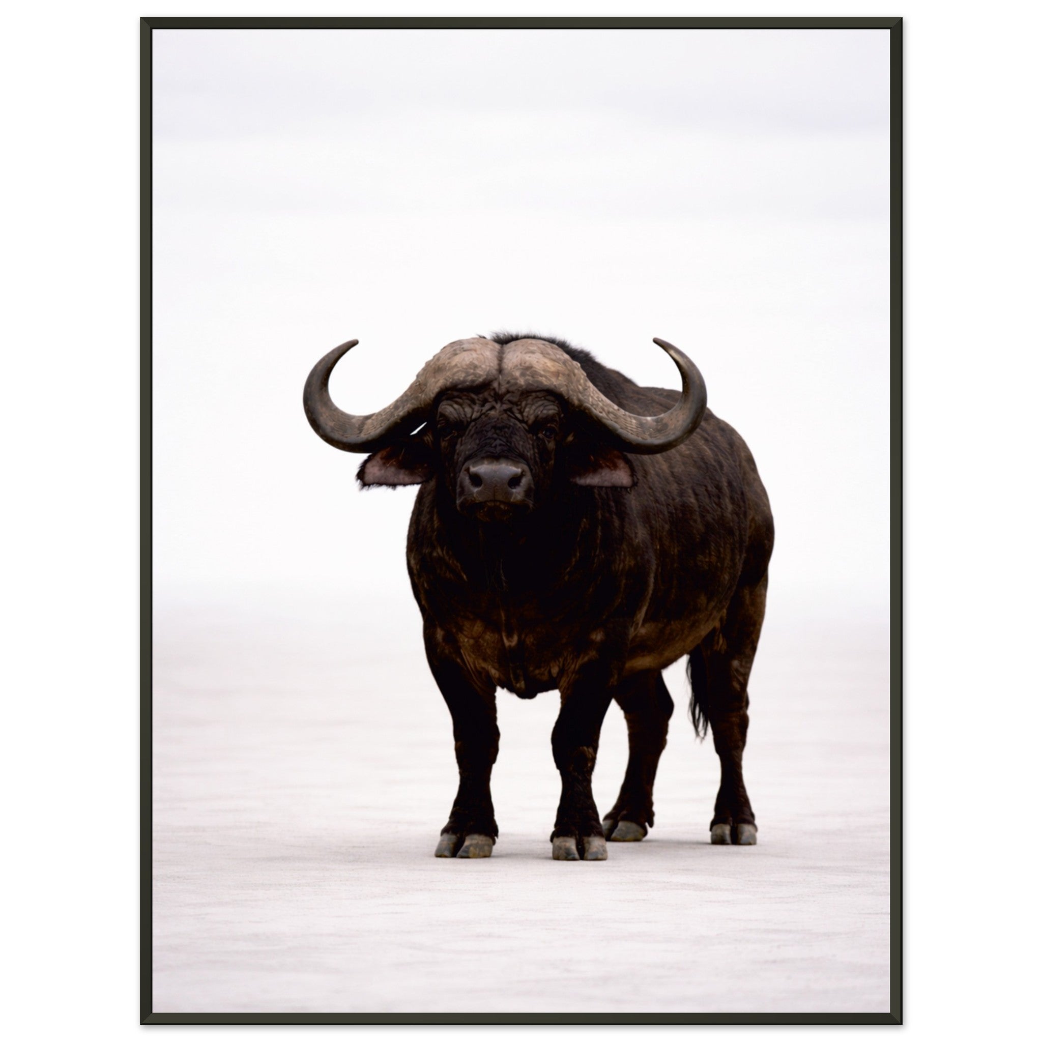 c0a759e0-b611-48bb-8bde-d848e6f0c826