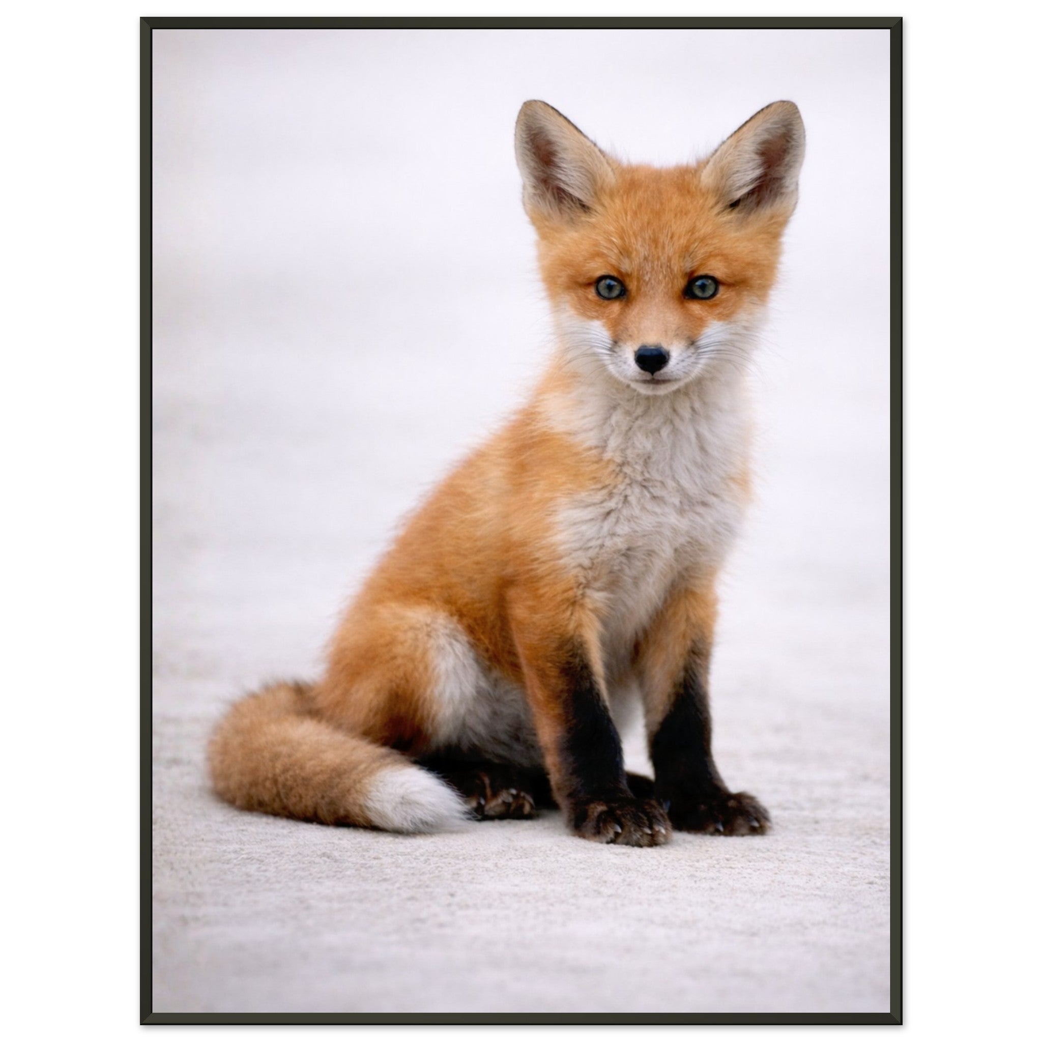 c7caa252-c683-410f-874e-357bcd14c8c3