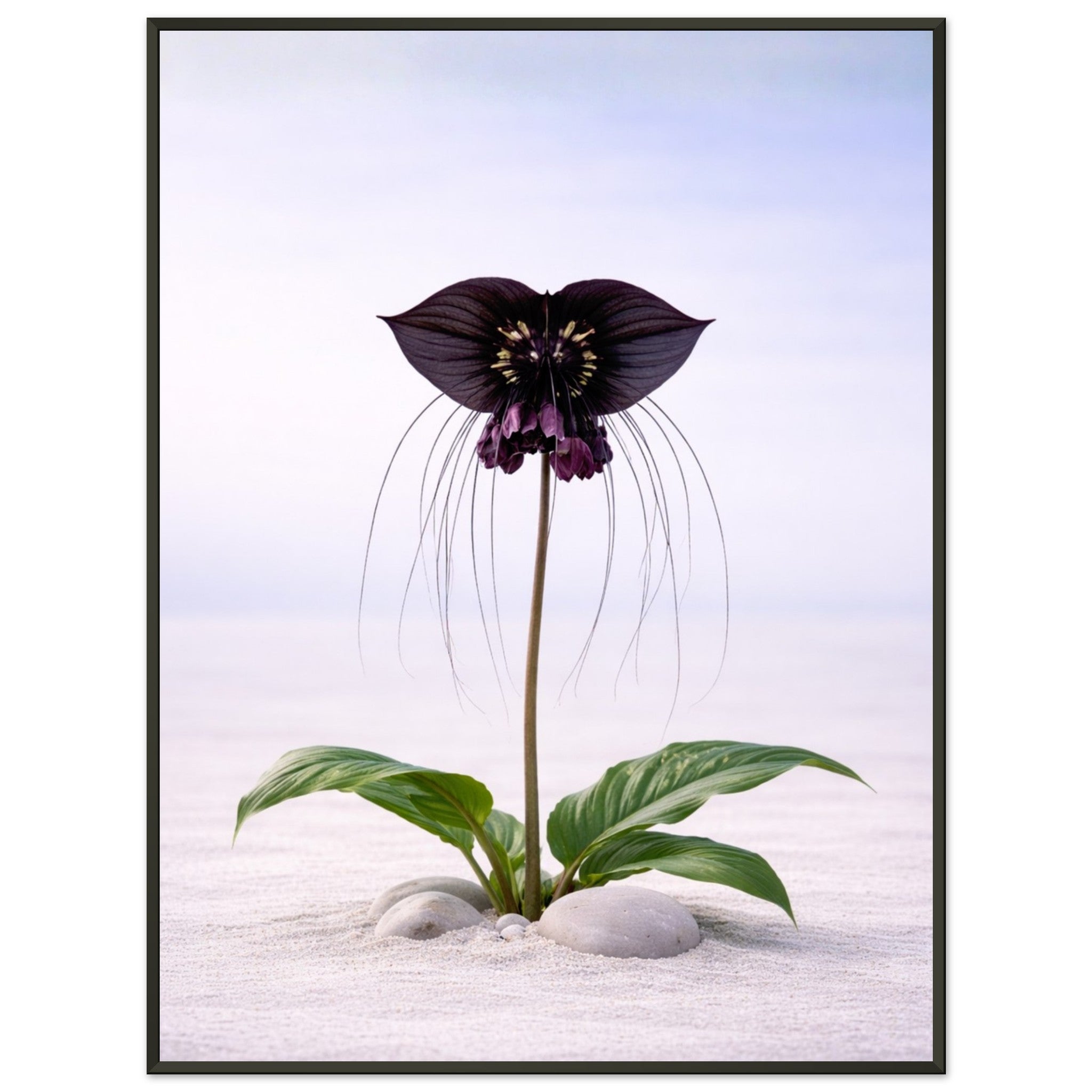 e3a50074-d37c-46d2-af1f-f9d641b0d678