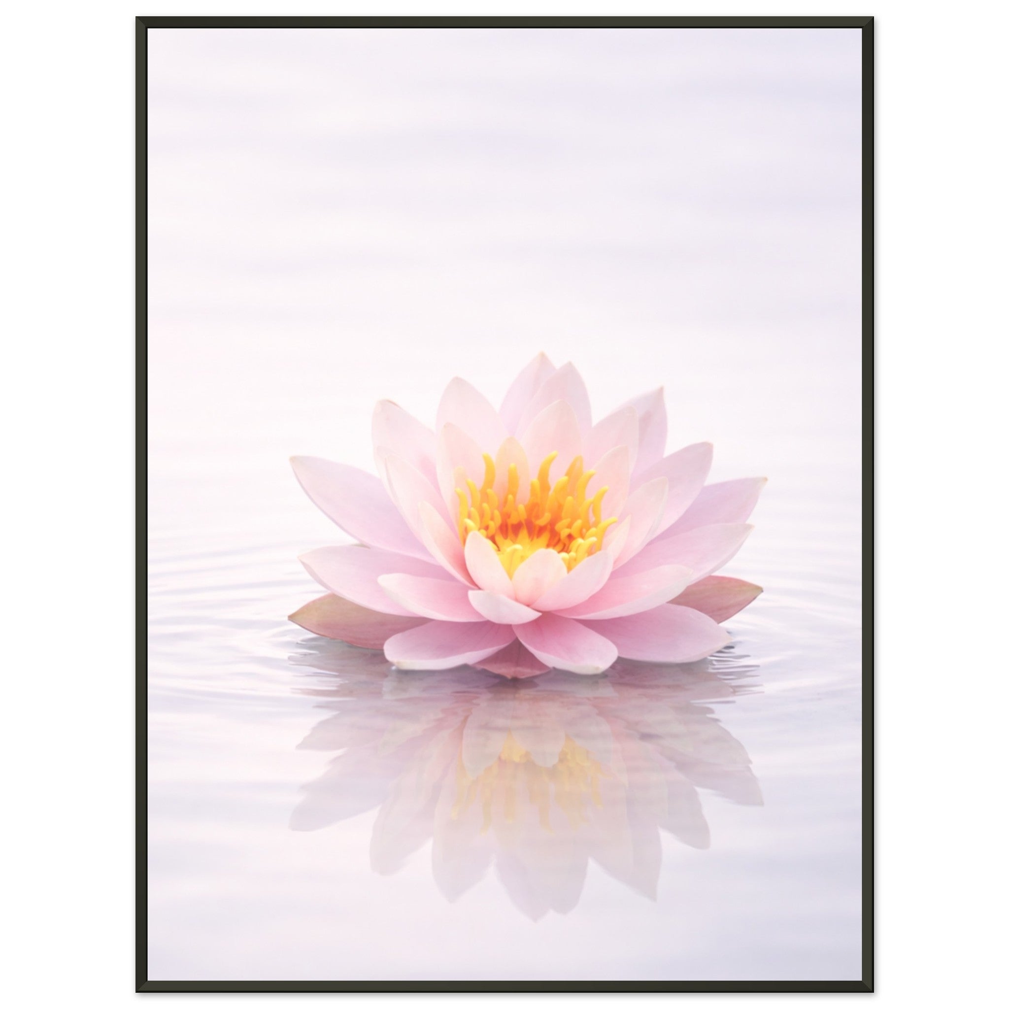 e862970d-6db6-4e5a-b3d0-afa282876cec